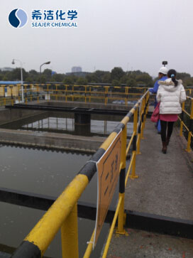 工厂污水处理现场 工厂污水处理现场