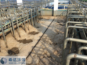 工厂磷废水 工厂磷废水