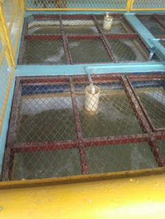 志工业园污水现场 志工业园污水现场