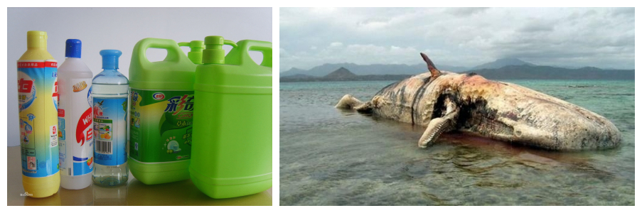 污水磷超标原因 污水磷超标原因