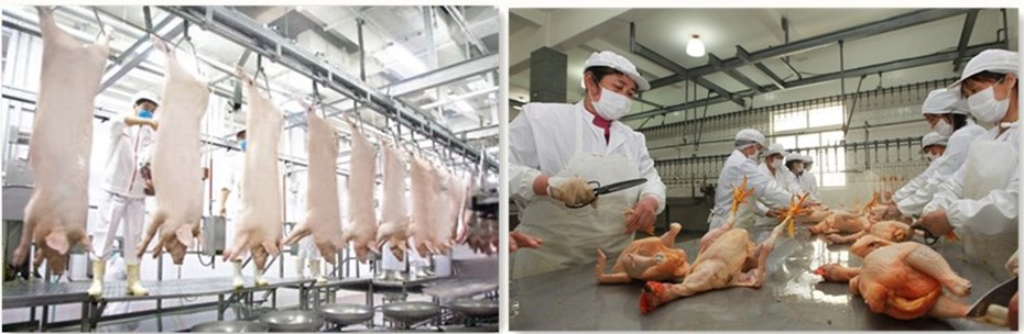 如何去除水的氨氮-屠宰现场 如何去除水的氨氮-屠宰现场