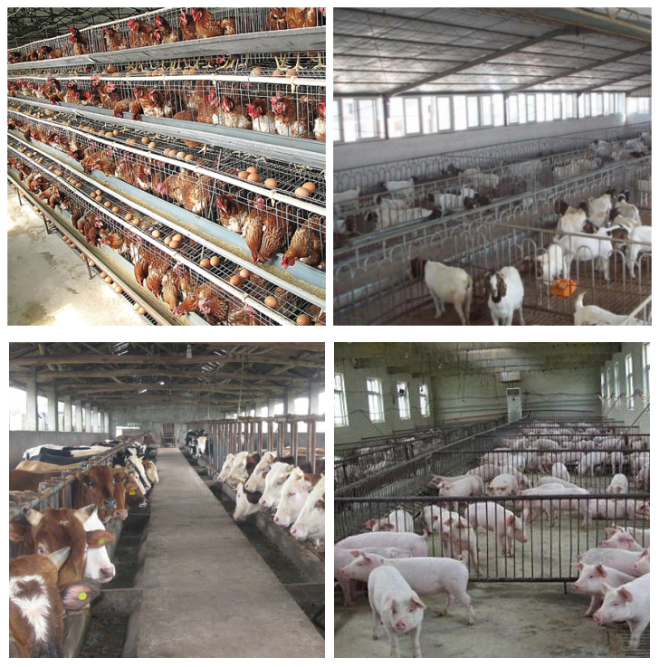 养殖废水 养殖废水