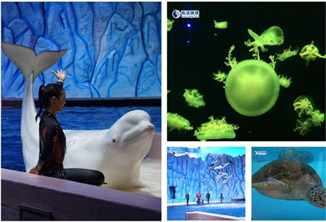 AG九游会环保活动图片1 AG九游会环保活动图片1