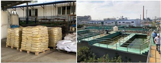 氧着色废水现场 氧着色废水现场