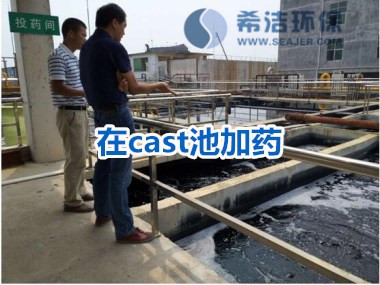 在cast池加除磷剂 在cast池加除磷剂