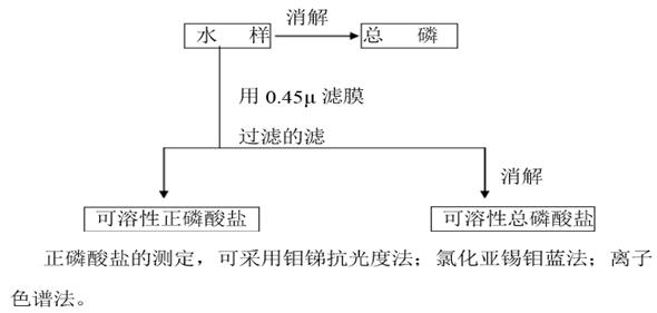 总磷、正磷和偏磷的关系 总磷、正磷和偏磷的关系