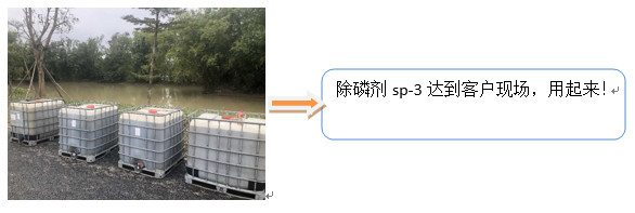 养鳗污水中磷的处理 养鳗污水中磷的处理