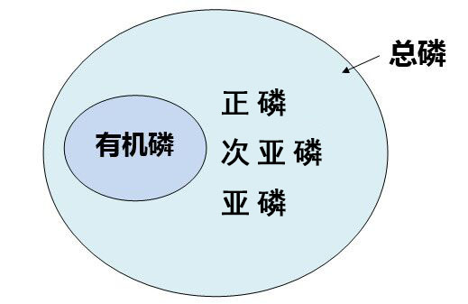 总磷与磷 总磷与磷