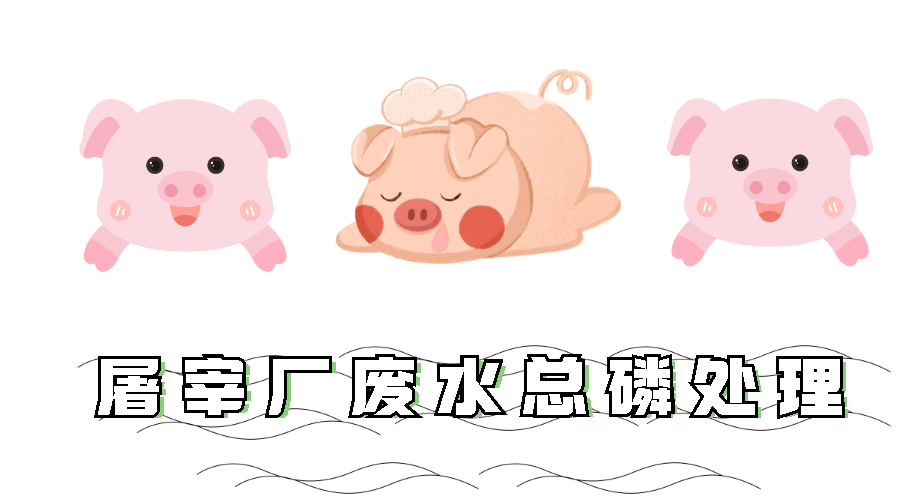 屠宰厂废水总磷处理方案 屠宰厂废水总磷处理方案