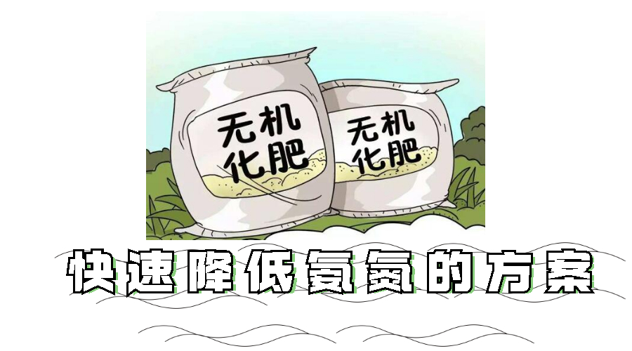 快速降低氨氮的方法 快速降低氨氮的方法