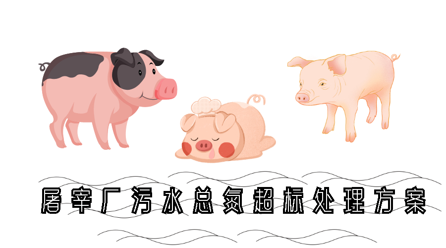 屠宰厂污水总氮超标处理方案 屠宰厂污水总氮超标处理方案