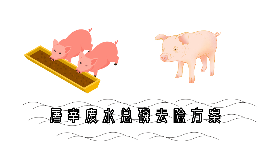 屠宰废水总磷去除方案 屠宰废水总磷去除方案